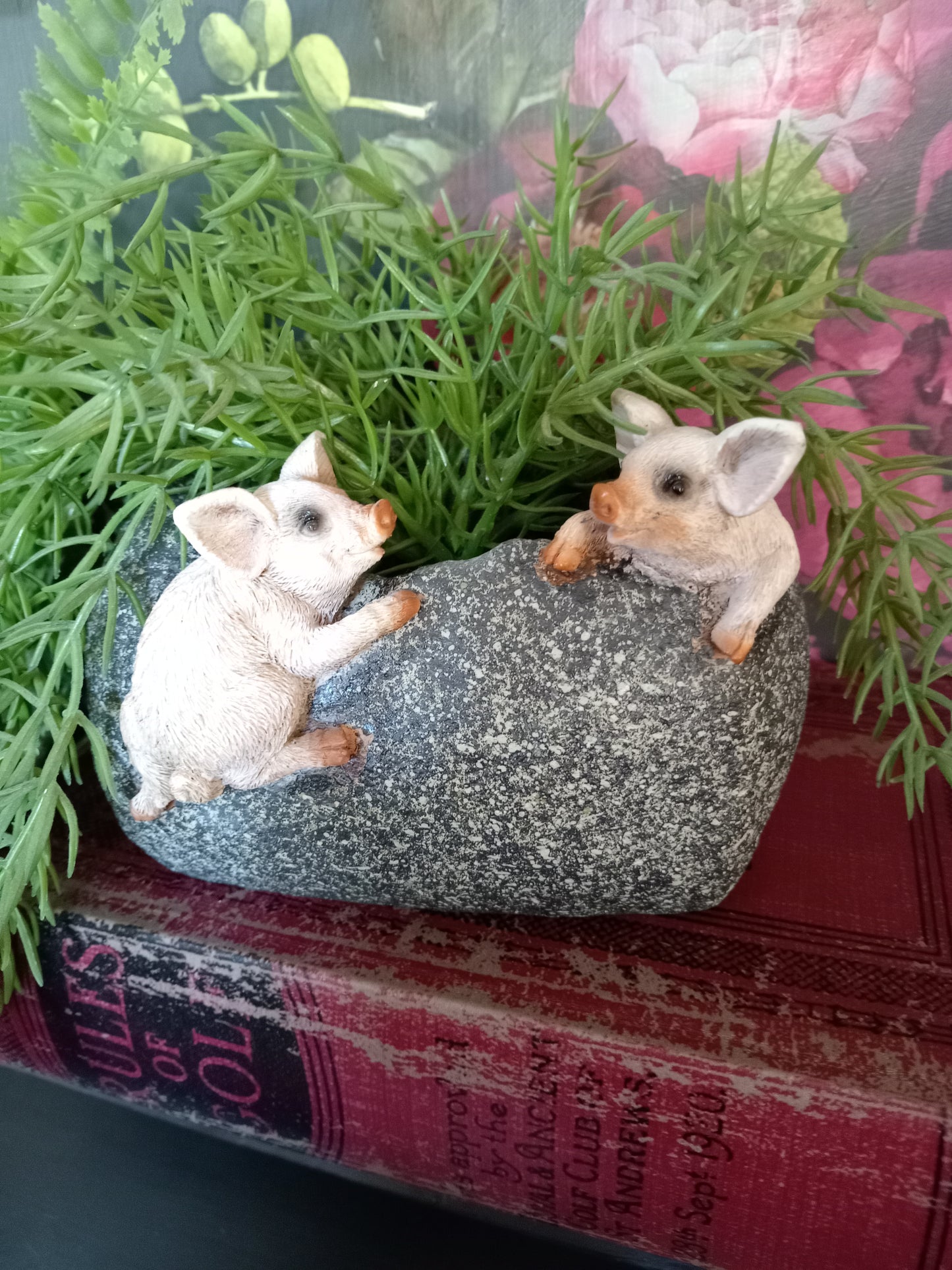 Pig Planter Trough