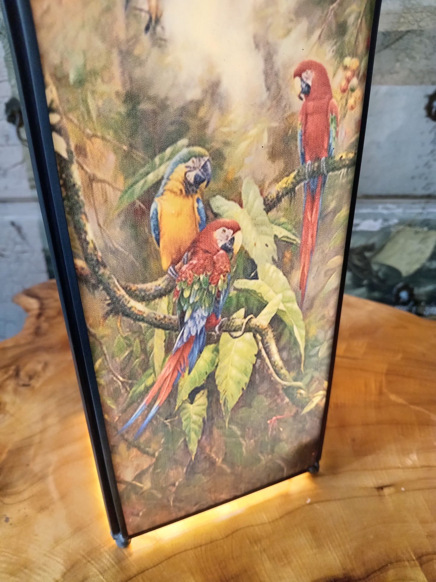 Stained Glass Parrot Exotic Birds Square Table Lamp